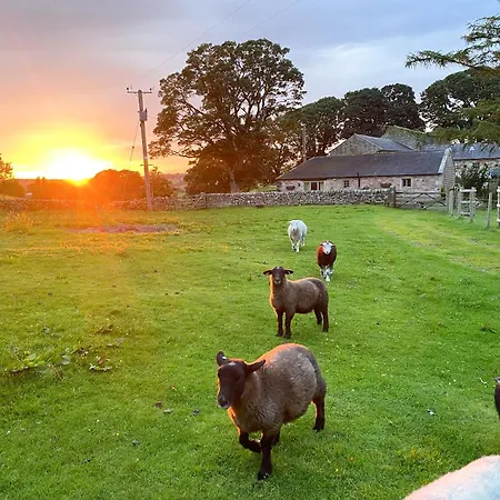 Lily Rose Prázdninový dům