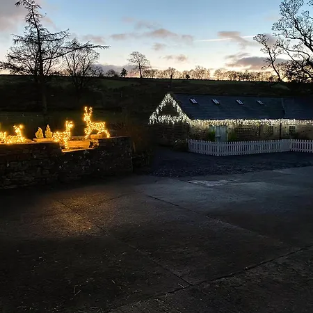 Lily Rose * Lanercost